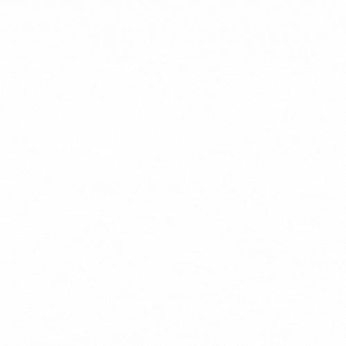 DPay Logo